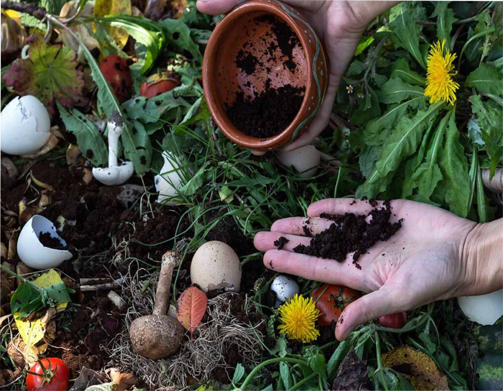 Πρακτικές Χρήσεις του Κατακάθιου Καφέ